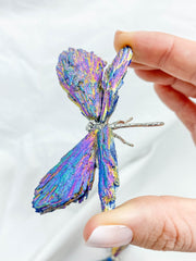 Kyanite Rainbow Aura Dragonfly