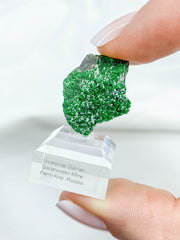 Uvarovite Green Garnet Mineral Specimen