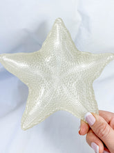 StarFish Plate | White