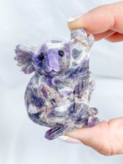 Amethyst Chevron Koala Tree Hugger 83g
