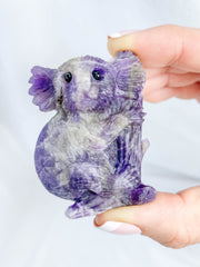 Amethyst Chevron Koala Tree Hugger 80g