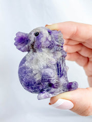 Amethyst Chevron Koala Tree Hugger 80g