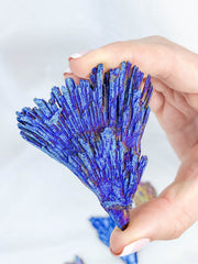Titanium Coated Black Kyanite Natural | Small