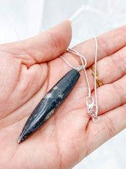 Orthoceras Fossil Polished Pendant