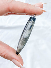 Orthoceras Fossil Polished Pendant