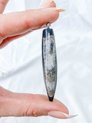 Orthoceras Fossil Polished Pendant