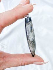 Orthoceras Fossil Polished Pendant