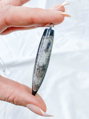 Orthoceras Fossil Polished Pendant