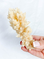 Calcite Fairy Wand 171g