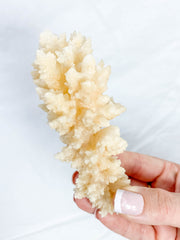 Calcite Fairy Wand 171g