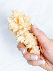 Calcite Fairy Wand 171g