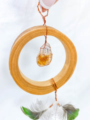 Abundance Amulet Citrine and Macaw Feather