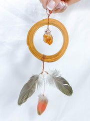 Abundance Amulet Citrine and Macaw Feather