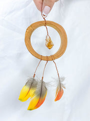 Abundance Amulet Citrine and Macaw Feather
