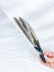 Ceremonial Feather Fan