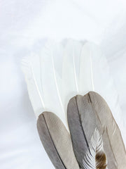 Ceremonial Feather Fan