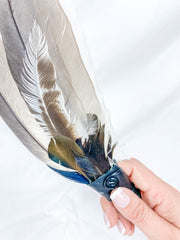 Ceremonial Feather Fan