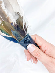 Ceremonial Feather Fan
