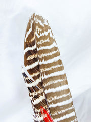 Gaia Healing Wand with Wooden Stand