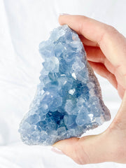 Celestite Cluster 416g