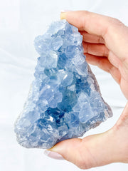 Celestite Cluster 416g
