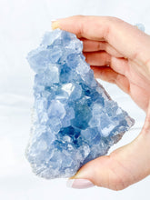 Celestite Cluster 416g