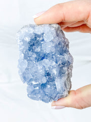 Celestite Cluster 255g