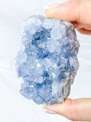 Celestite Cluster 255g