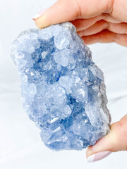 Celestite Cluster 255g