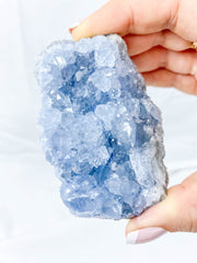 Celestite Cluster 255g