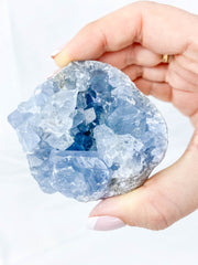 Celestite Cluster 353g