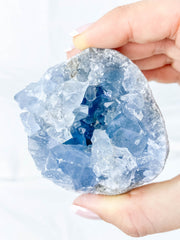 Celestite Cluster 353g