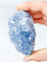 Celestite Cluster 328g