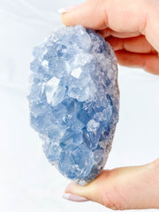Celestite Cluster 328g