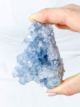 Celestite Cluster 310g