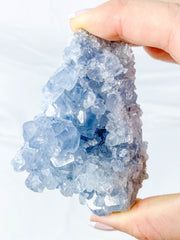 Celestite Cluster 310g