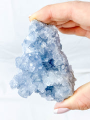 Celestite Cluster 310g