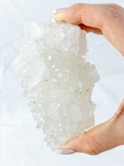 Glass Apophyllite Cluster 425g