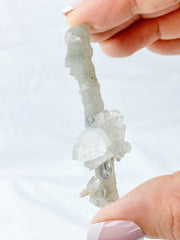Apophyllite & Stalactite Cluster 12g