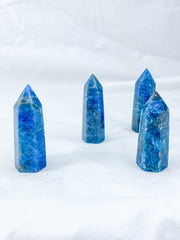 Apatite Polished Point | Small