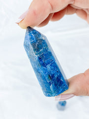 Apatite Polished Point | Small
