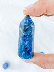 Apatite Polished Point | Small