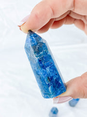 Apatite Polished Point | Small
