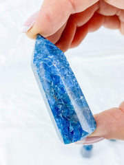 Apatite Polished Point | Small