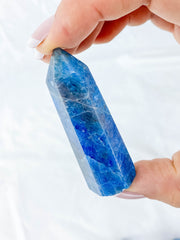 Apatite Polished Point | Small