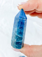 Apatite Polished Point | Small