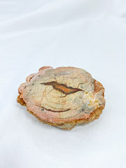 Agate ThunderEgg Bird 139g