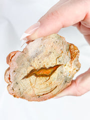 Agate ThunderEgg Bird 139g