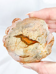 Agate ThunderEgg Bird 139g