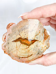 Agate ThunderEgg Bird 139g